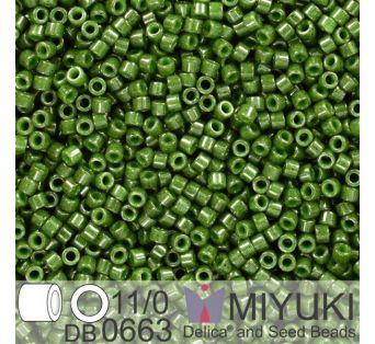 Miyuki Delica 11/0 - Dyed Op Olive 5g