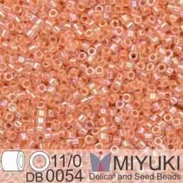 Miyuki Delica 11/0 - Dk Peach Lined Crystal AB 5g