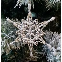 Kurz - Vianočných hviezdičiek v Žiline