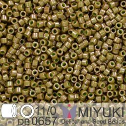 Miyuki Delica 11/0 - Dyed Op Olive Drab 5g