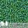 Miyuki - 11/0 - S/L Green AB 5g