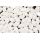 DiamonDuo 5x8 mm - Krieda s bielym irisem - 20ks