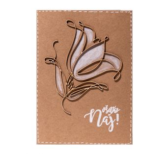 Pozdrav k narodeninám - Tulipán
