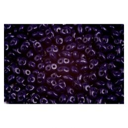 Superduo - Navy Blue  - 10 g