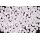 Pohanka - 5X4 mmm - 02010/24001- 50 ks