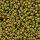 Miyuki round - 15/0 - Op Golden Olive Luster 5g